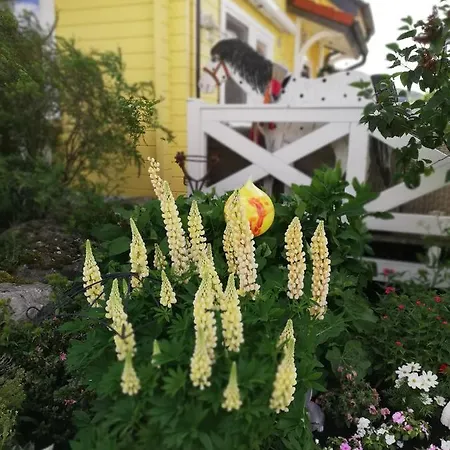 Ferienhaus Pippi Langstrumpf Mit Pool Feriehus *